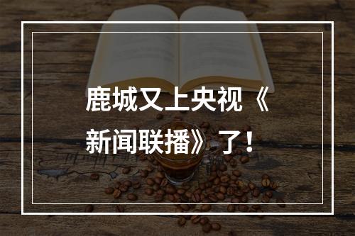 鹿城又上央视《新闻联播》了！