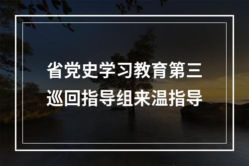 省党史学习教育第三巡回指导组来温指导
