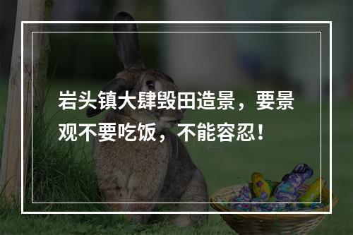 岩头镇大肆毁田造景，要景观不要吃饭，不能容忍！