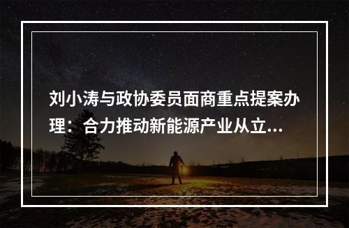 刘小涛与政协委员面商重点提案办理：合力推动新能源产业从立起来迈向强起来
