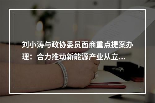 刘小涛与政协委员面商重点提案办理：合力推动新能源产业从立起来迈向强起来