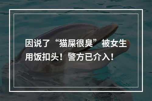 因说了“猫屎很臭”被女生用饭扣头！警方已介入！