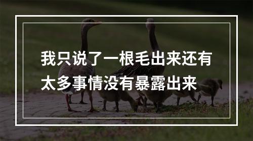 我只说了一根毛出来还有太多事情没有暴露出来