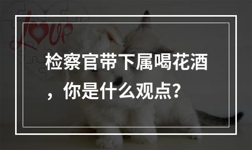 检察官带下属喝花酒，你是什么观点？