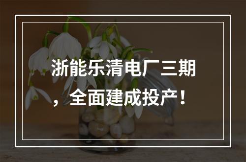 浙能乐清电厂三期，全面建成投产！