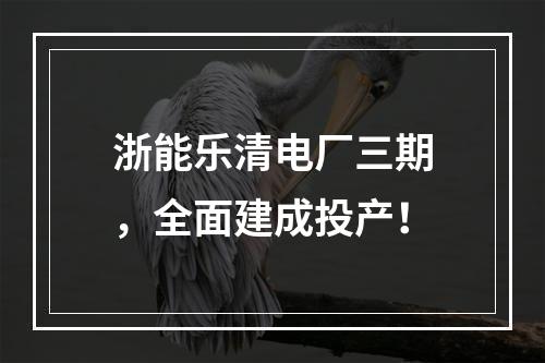 浙能乐清电厂三期，全面建成投产！