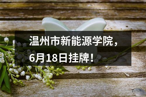 温州市新能源学院，6月18日挂牌！