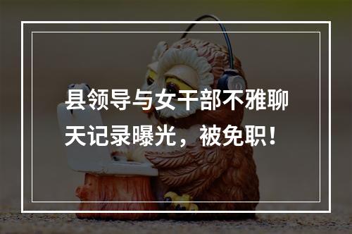 县领导与女干部不雅聊天记录曝光，被免职！