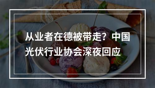 从业者在德被带走？中国光伏行业协会深夜回应