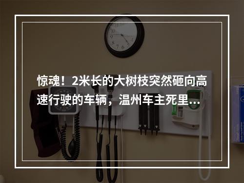 惊魂！2米长的大树枝突然砸向高速行驶的车辆，温州车主死里逃生