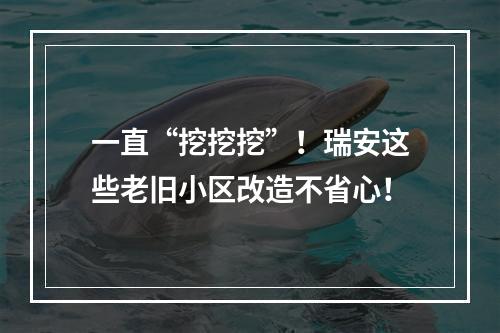 一直“挖挖挖”！瑞安这些老旧小区改造不省心！