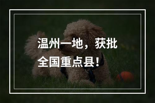 温州一地，获批全国重点县！