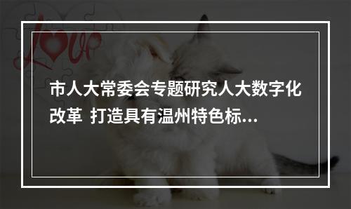 市人大常委会专题研究人大数字化改革  打造具有温州特色标志性成果