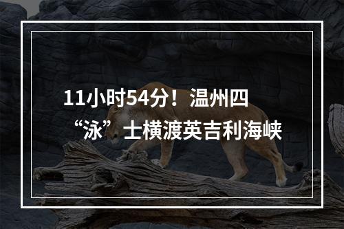 11小时54分！温州四“泳”士横渡英吉利海峡
