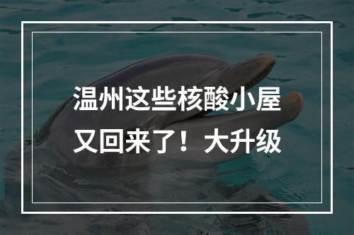 温州这些核酸小屋又回来了！大升级