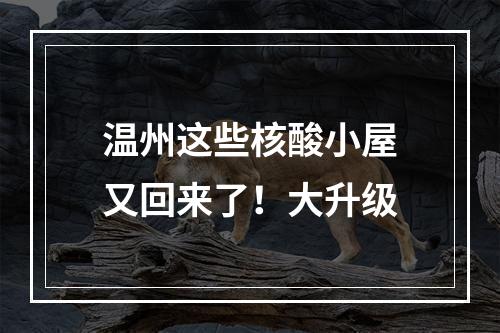 温州这些核酸小屋又回来了！大升级