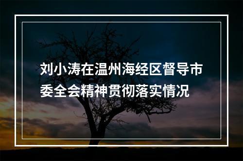 刘小涛在温州海经区督导市委全会精神贯彻落实情况