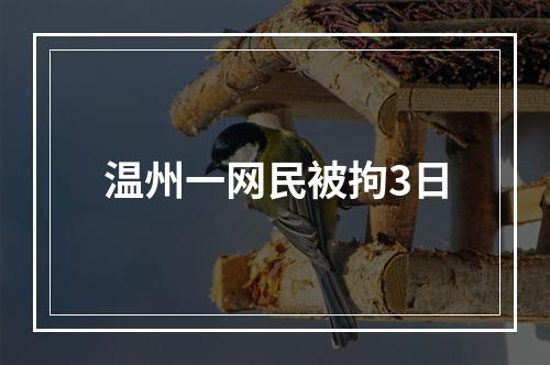 温州一网民被拘3日