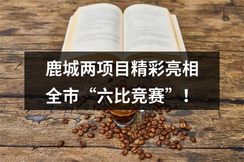 鹿城两项目精彩亮相全市“六比竞赛”！