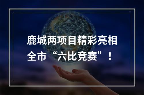 鹿城两项目精彩亮相全市“六比竞赛”！