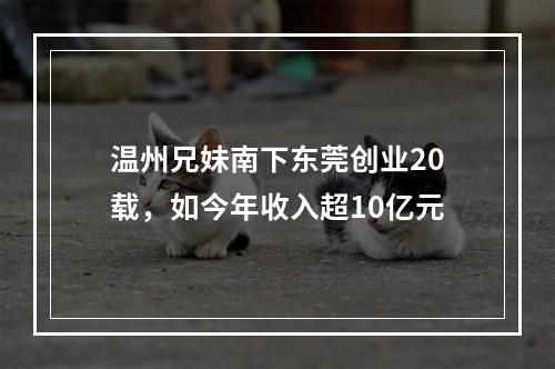 温州兄妹南下东莞创业20载，如今年收入超10亿元