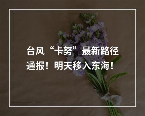 台风“卡努”最新路径通报！明天移入东海！