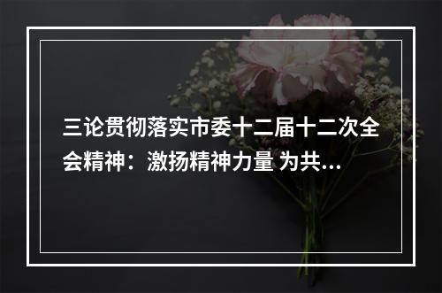 三论贯彻落实市委十二届十二次全会精神：激扬精神力量 为共同富裕共同奋斗
