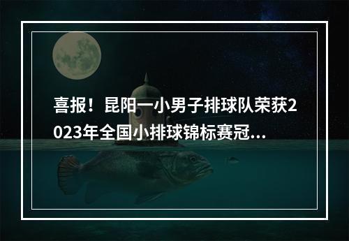 喜报！昆阳一小男子排球队荣获2023年全国小排球锦标赛冠军