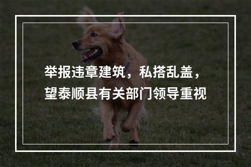 举报违章建筑，私搭乱盖，望泰顺县有关部门领导重视