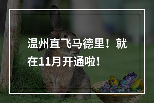 温州直飞马德里！就在11月开通啦！