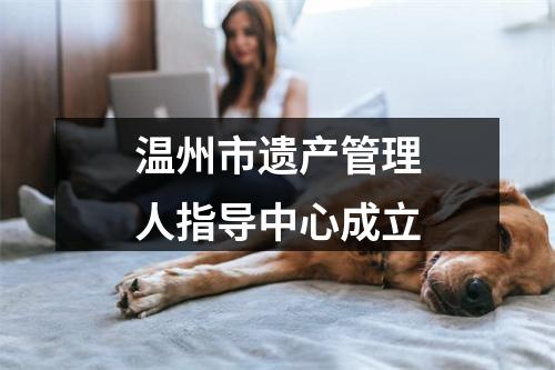 温州市遗产管理人指导中心成立