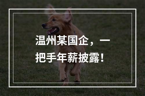 温州某国企，一把手年薪披露！