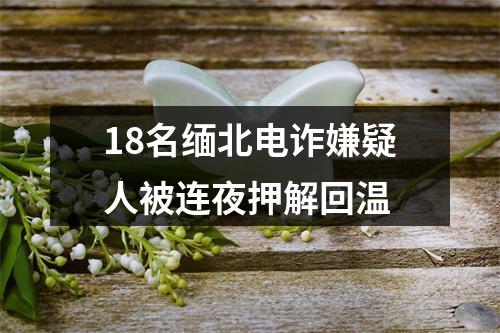 18名缅北电诈嫌疑人被连夜押解回温
