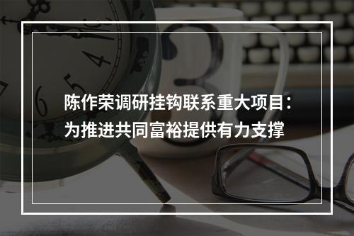 陈作荣调研挂钩联系重大项目：为推进共同富裕提供有力支撑