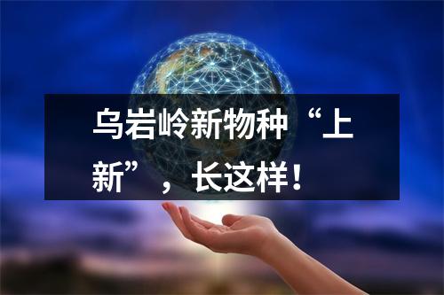 乌岩岭新物种“上新”，长这样！