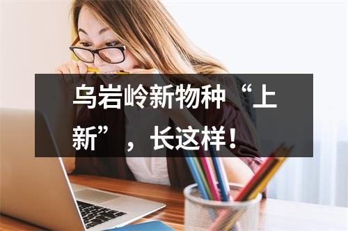 乌岩岭新物种“上新”，长这样！
