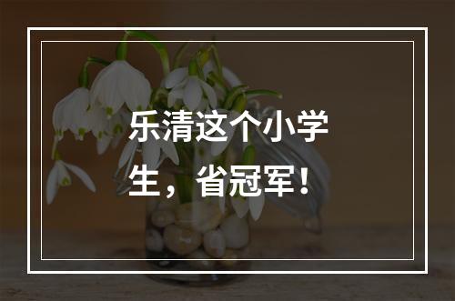 乐清这个小学生，省冠军！