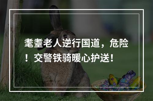 耄耋老人逆行国道，危险！交警铁骑暖心护送！