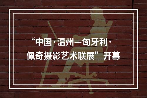 “中国·温州—匈牙利·佩奇摄影艺术联展”开幕