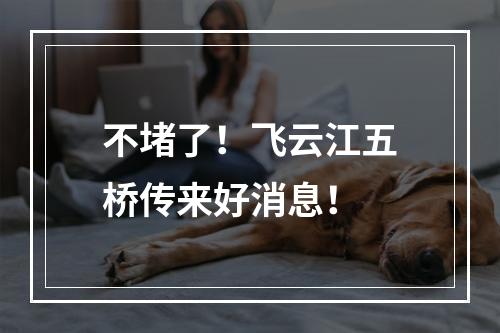 不堵了！飞云江五桥传来好消息！