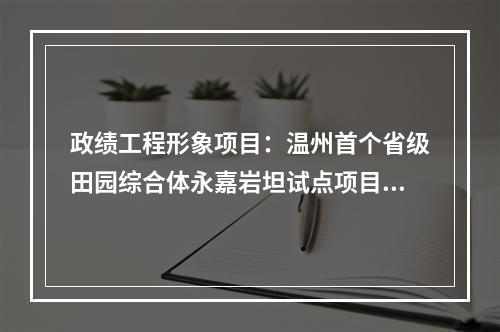 政绩工程形象项目：温州首个省级田园综合体永嘉岩坦试点项目网罗一下