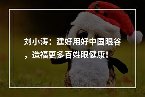 刘小涛：建好用好中国眼谷，造福更多百姓眼健康！