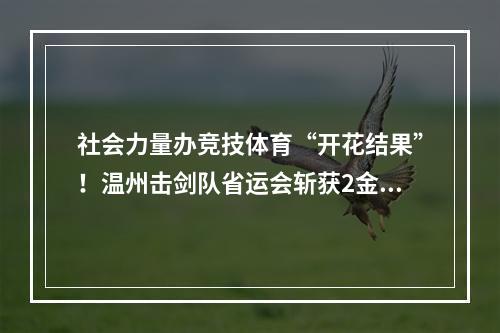 社会力量办竞技体育“开花结果”！温州击剑队省运会斩获2金3银