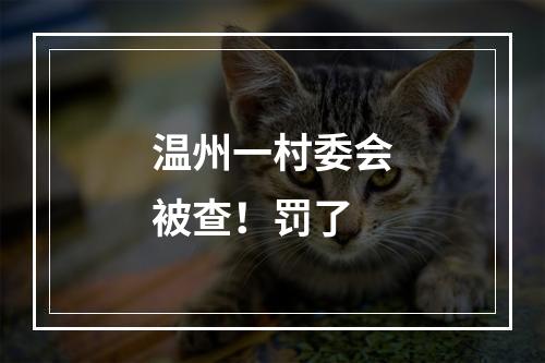 温州一村委会被查！罚了