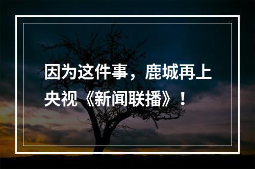因为这件事，鹿城再上央视《新闻联播》！