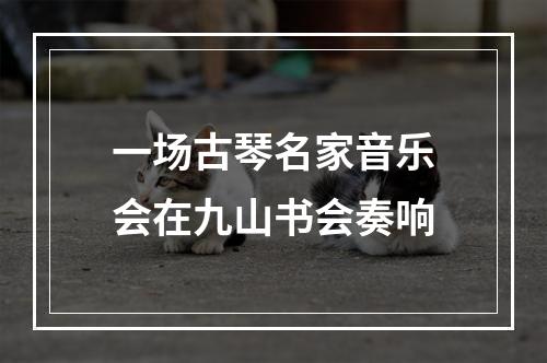 一场古琴名家音乐会在九山书会奏响