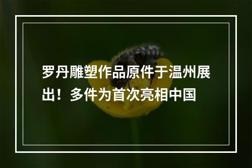 罗丹雕塑作品原件于温州展出！多件为首次亮相中国