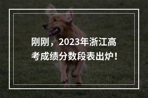 刚刚，2023年浙江高考成绩分数段表出炉！