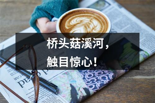 桥头菇溪河，触目惊心！