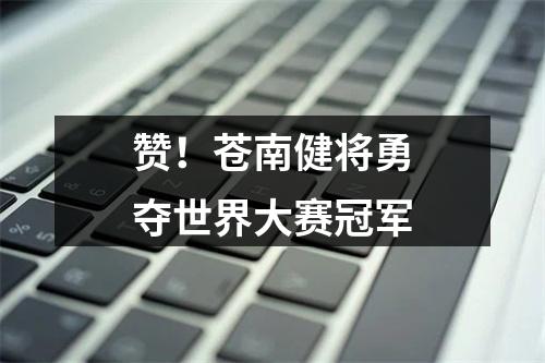 赞！苍南健将勇夺世界大赛冠军